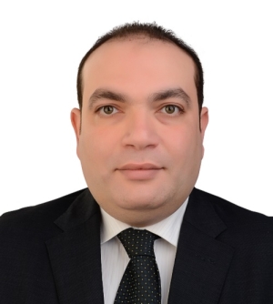 Prof. Amr Mohamed Ageez