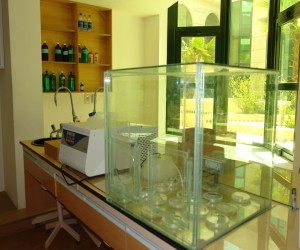MSA University - Biotechnology Lab 