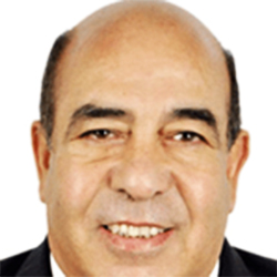 Prof. Mostafa K. El Awady